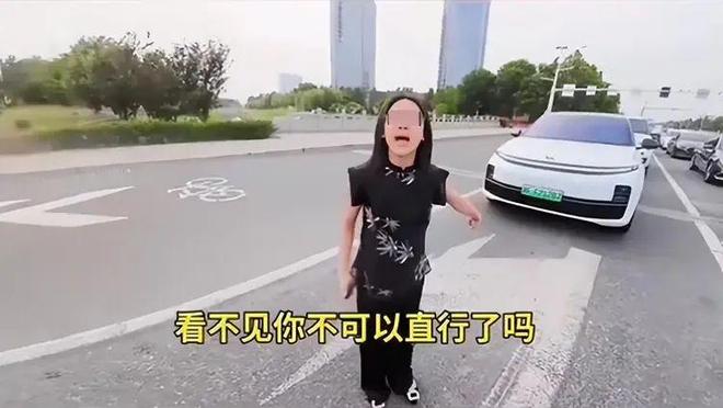续：女司机气到流产公布完整行车记录仪冰球突破游戏河北女司机与骑手冲突后(图15)