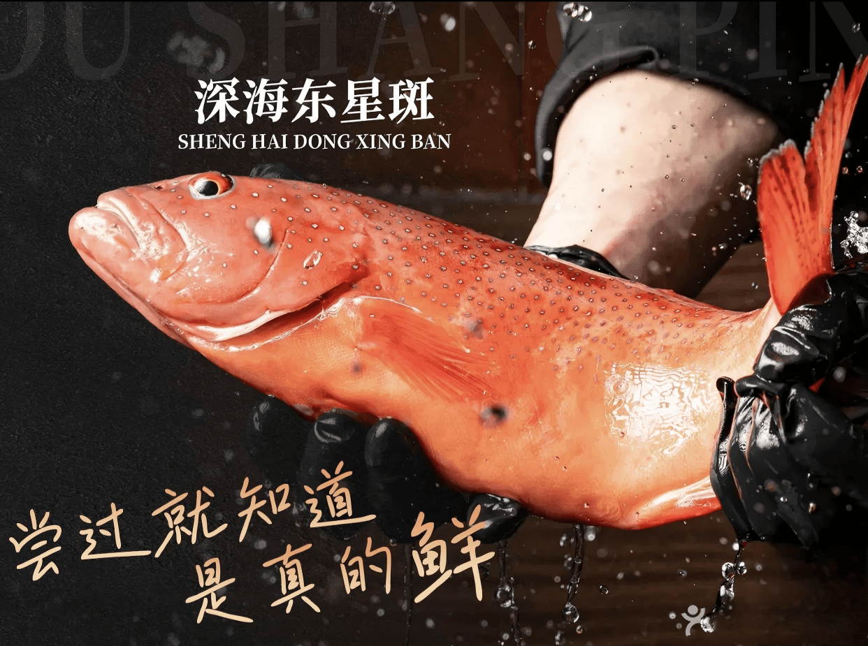 捞与轻奢私房菜海鲜大排档及现做馆口碑精选冰球突破平台2026年海鲜馆推荐：鲜活现