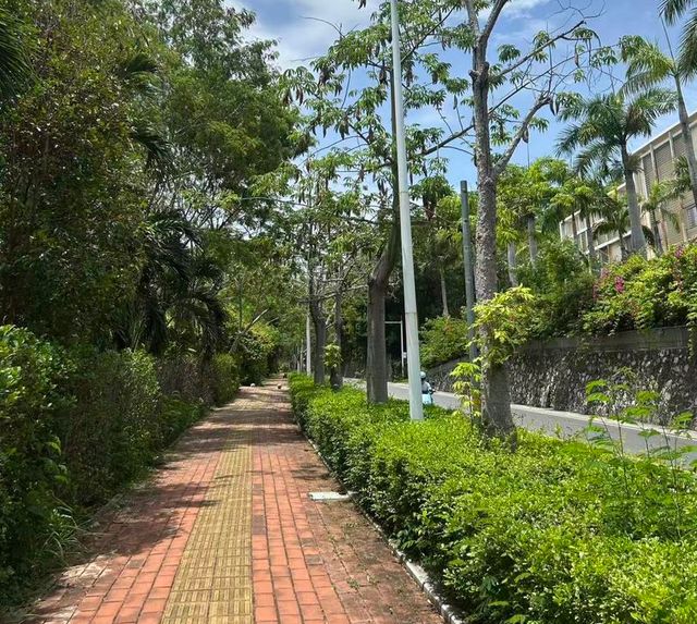 ：抢救3小时后医院称“没救治经验”丨封面头条冰球突破三亚27岁女游客疑被蛇咬伤身亡 家属(图1)