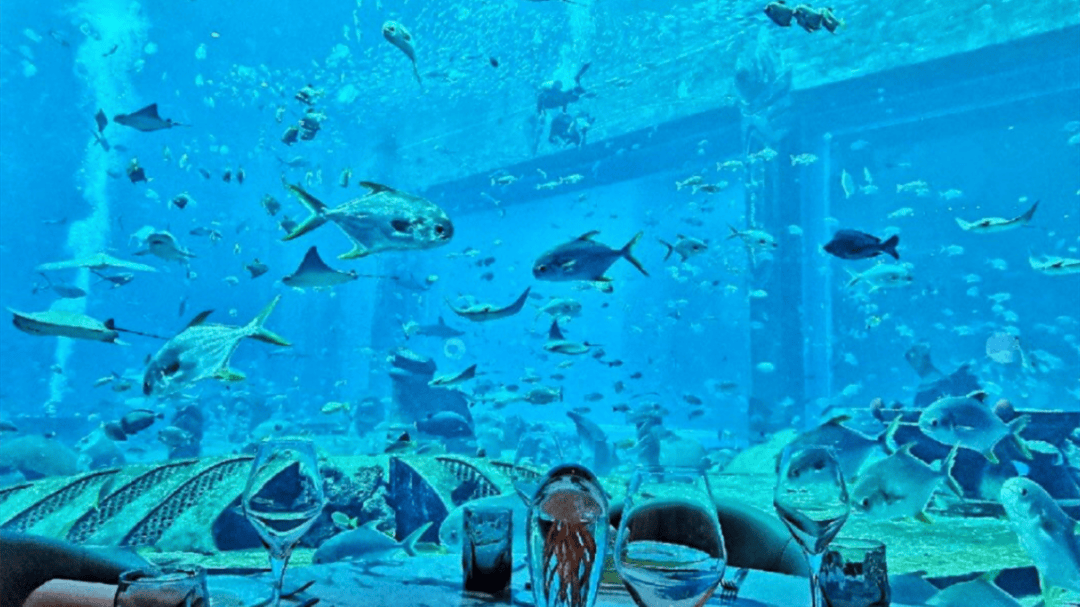 道：72个情绪价值营造标杆案例冰球突破游戏旅游餐饮场景破局之(图50)