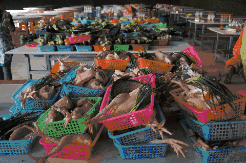 道：72个情绪价值营造标杆案例冰球突破游戏旅游餐饮场景破局之(图70)